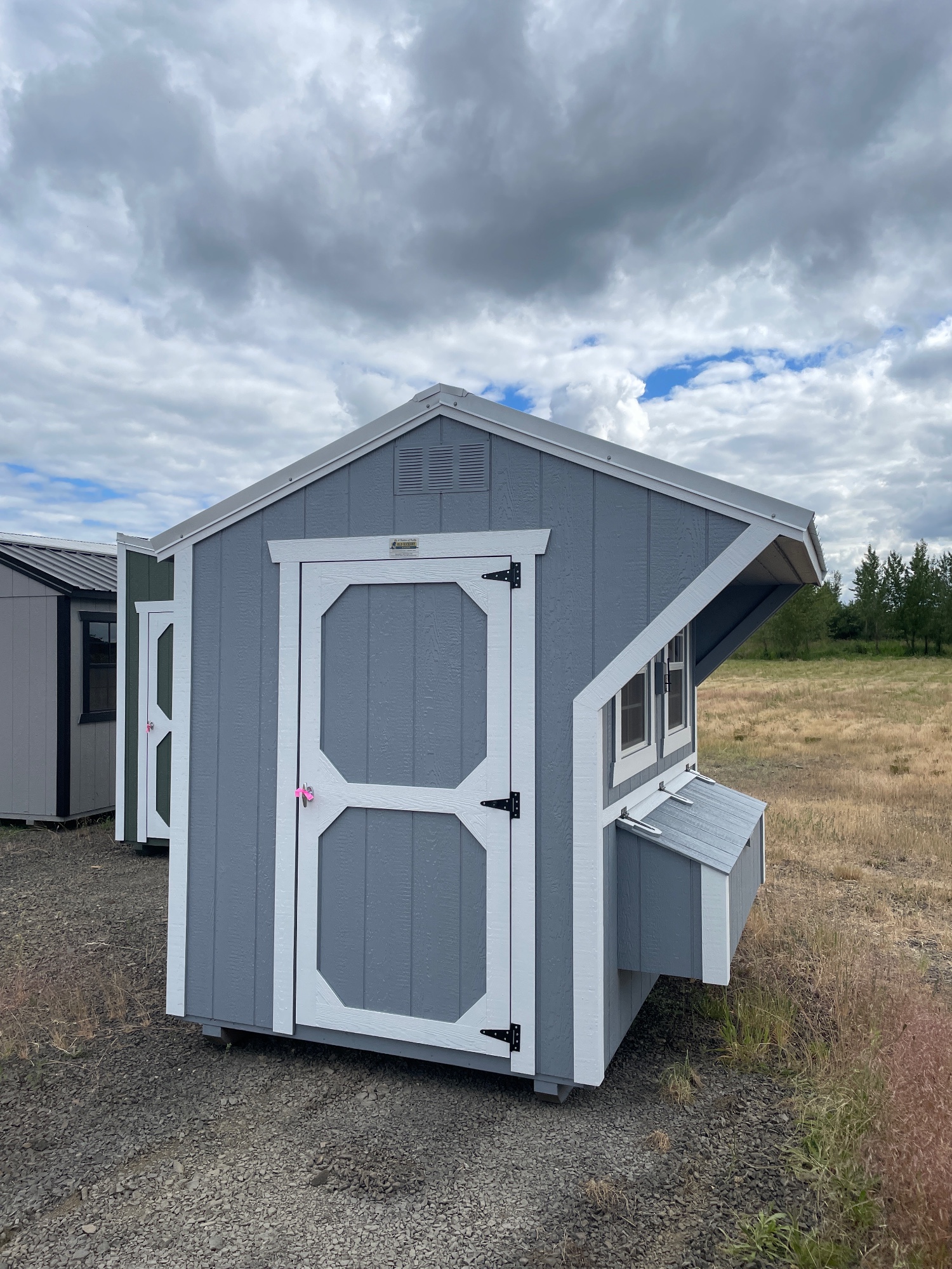 Chicken Coop - 6x8