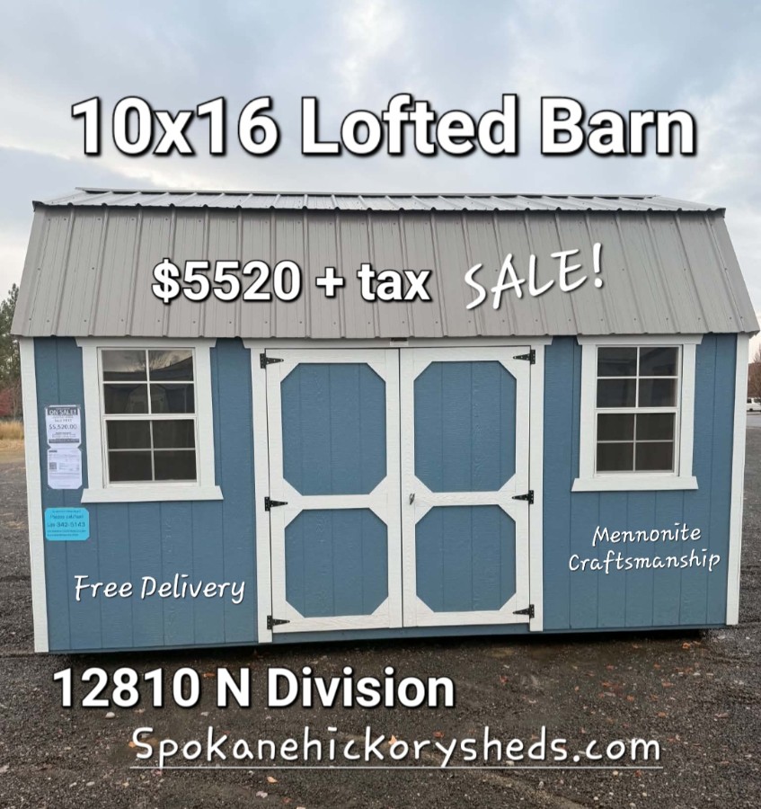 Lofted Barn - 10x16 - 2 Lofts! 2 Windows! SIDE ENTRY image 10