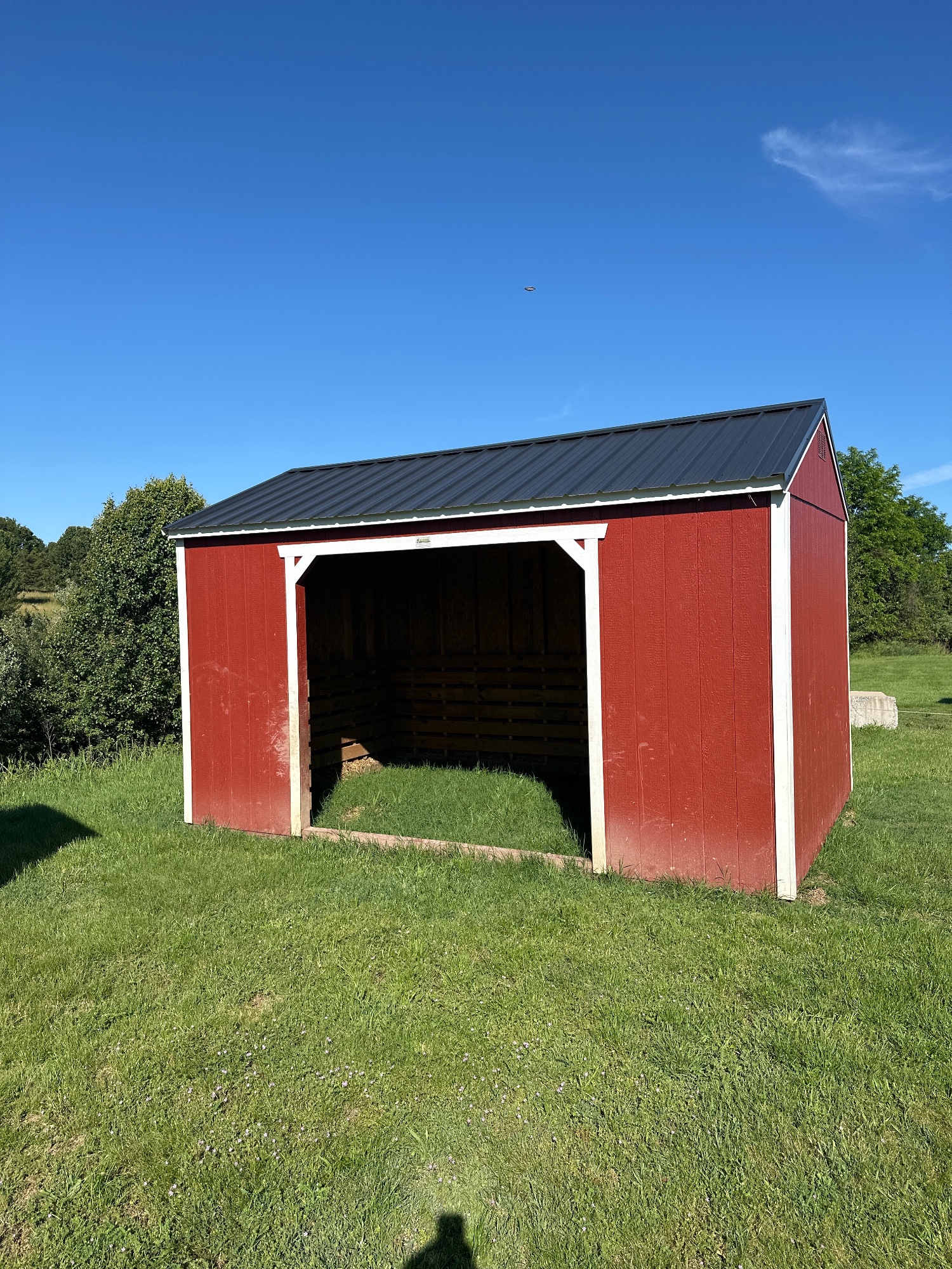 Animal Shelter - 10x16